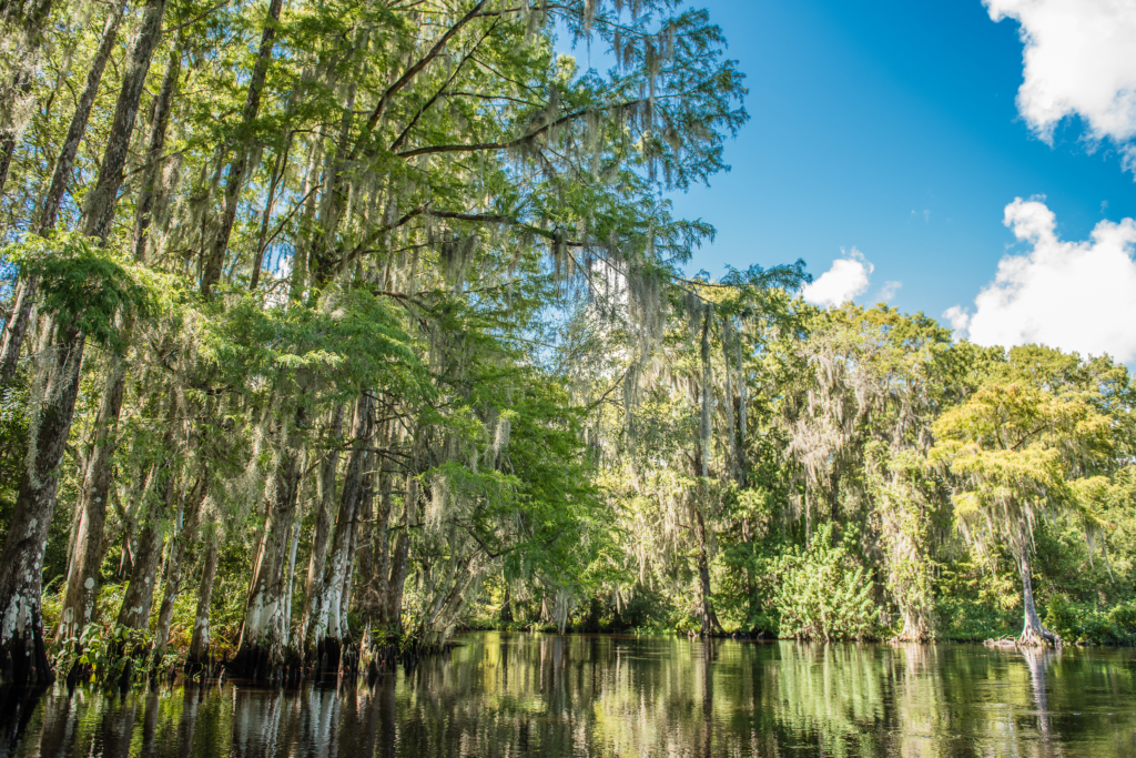 2016 09 28 TDC BassFishing ArbuckleCreek Istokpoga 0008-visit-sebring-fl