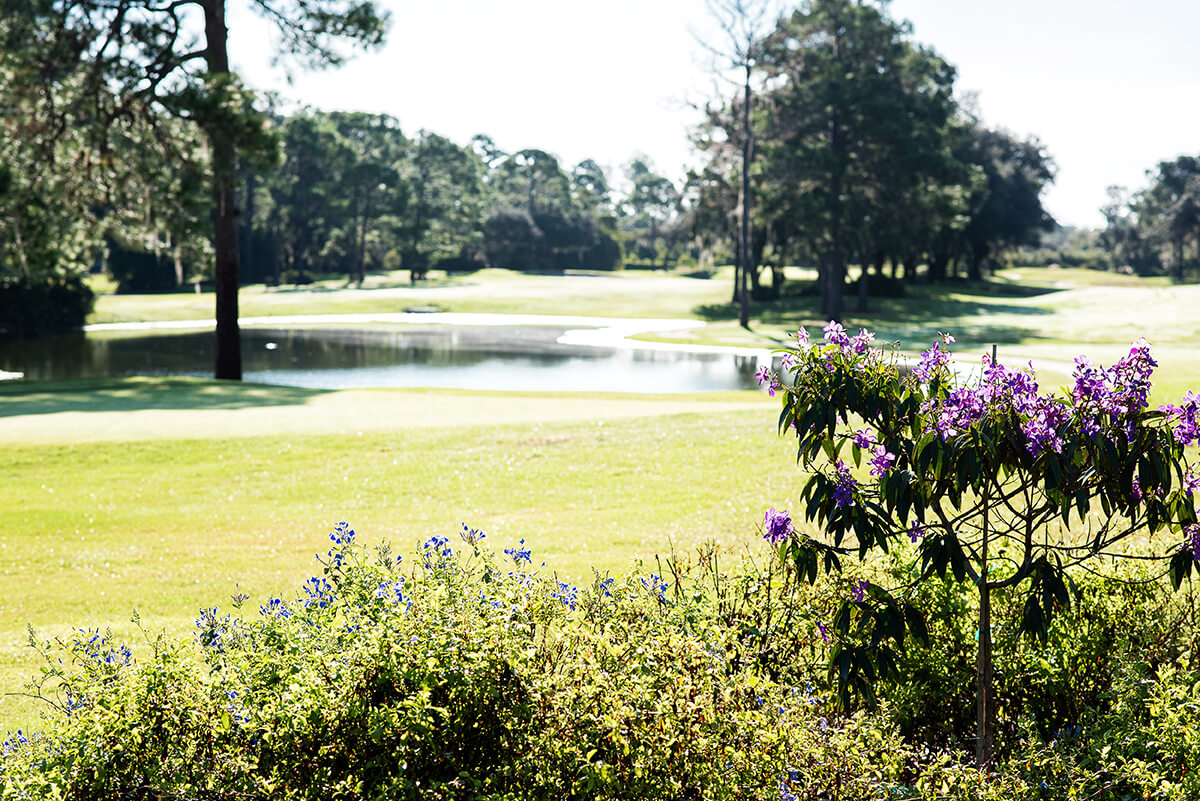 Highlands golf course