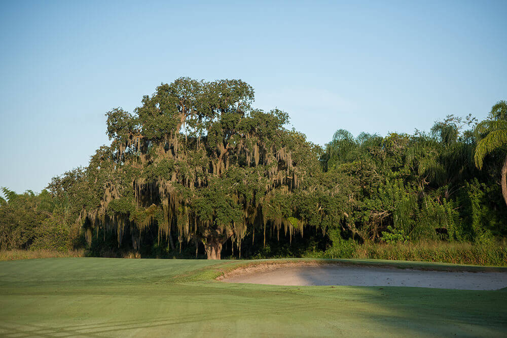 Pinecrest Gold Club part of Citrus Golf Trail