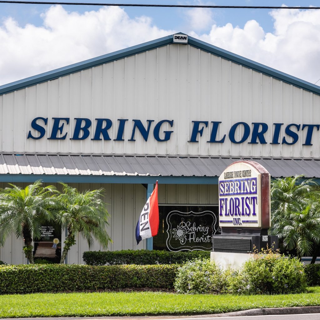 298030395 5522702957752077 365829073960816833 n-visit-sebring-fl