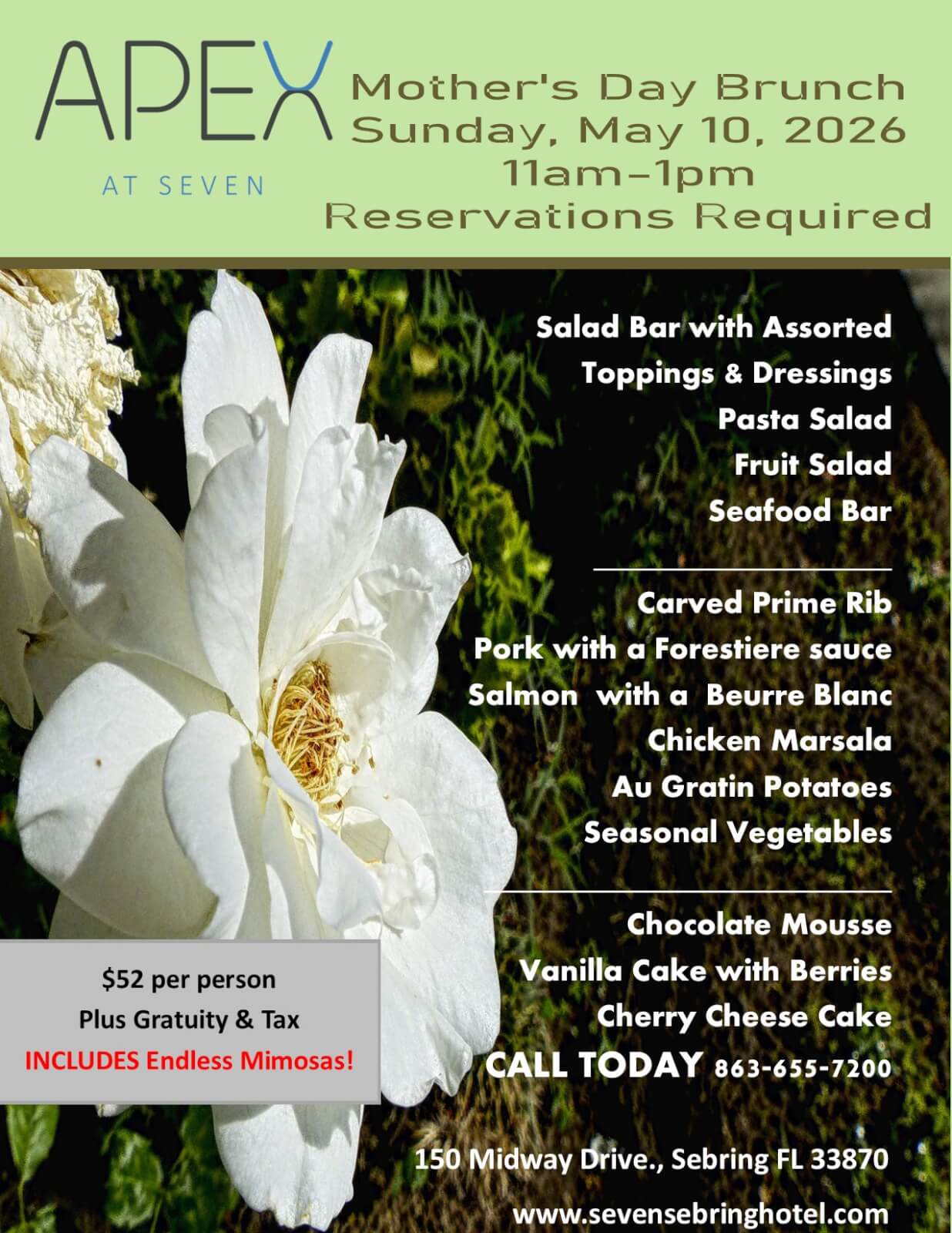 May be an image of flower and text that says 'APEX Mother's Day Brunch Sunday, May 10, 2026 AT SEVEN 11am-1pm Reservations Required Salad Bar with Assorted Toppings & Dressings Pasta Salad Fruit Salad Seafood Bar Carved Prime Rib Pork with α Forestiere sauce Salmon with α Beurre Blanc Chicken Marsala Αυ Gratin Potatoes Seasonal Vegetables $52 per $52perperson person Plus Gratuity & Tax INCLUDES Endless Mimosas! Chocolate Mousse Vanilla Cake with Berries Cherry Cheese Cake CALL TODAY 863-655-7200 150 Midway Drive., Sebring FL 33870 www.sevensebringhotel.com'
