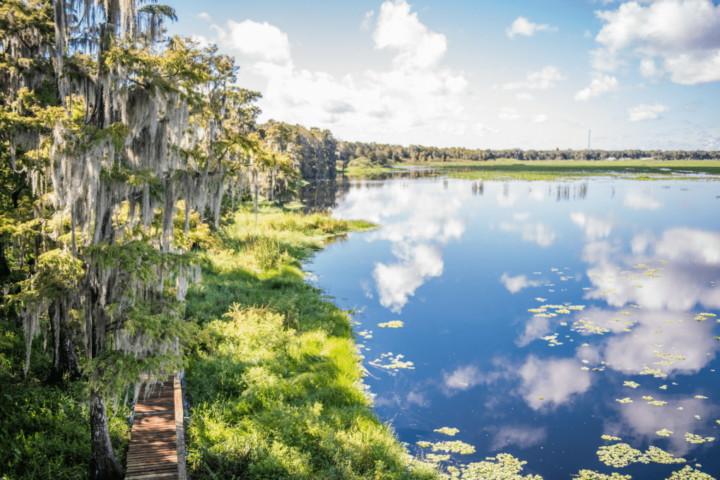 Exploring the Environmental Impact of Military Training at Avon Park