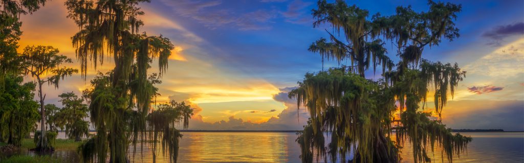 Cypress Tree Sunset Lake Istokpoga Florida Panorama-visit-sebring-fl