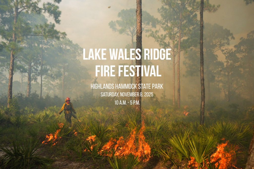 FireFest 1-visit-sebring-fl