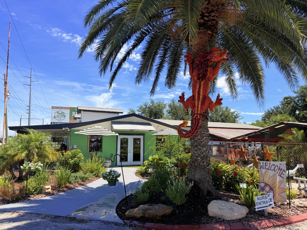 Outside view of the storefront for Organically Local and Sweetwater. Green building surrounded by greenery and plants with a decorative red dragon climbing up the outside palm tree.