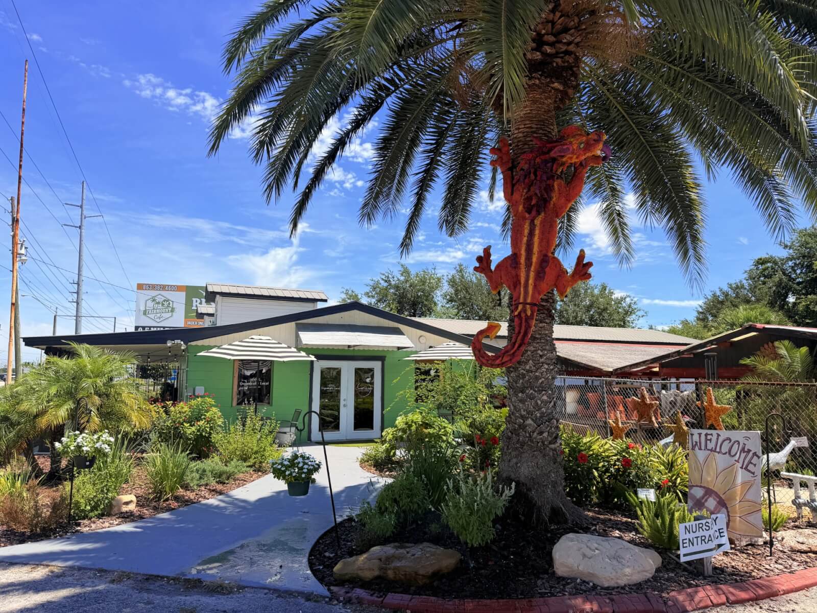 GHC Outside-visit-sebring-fl Outside view of the storefront for Organically Local and Sweetwater. Green building surrounded by greenery and plants with a decorative red dragon climbing up the outside palm tree.
