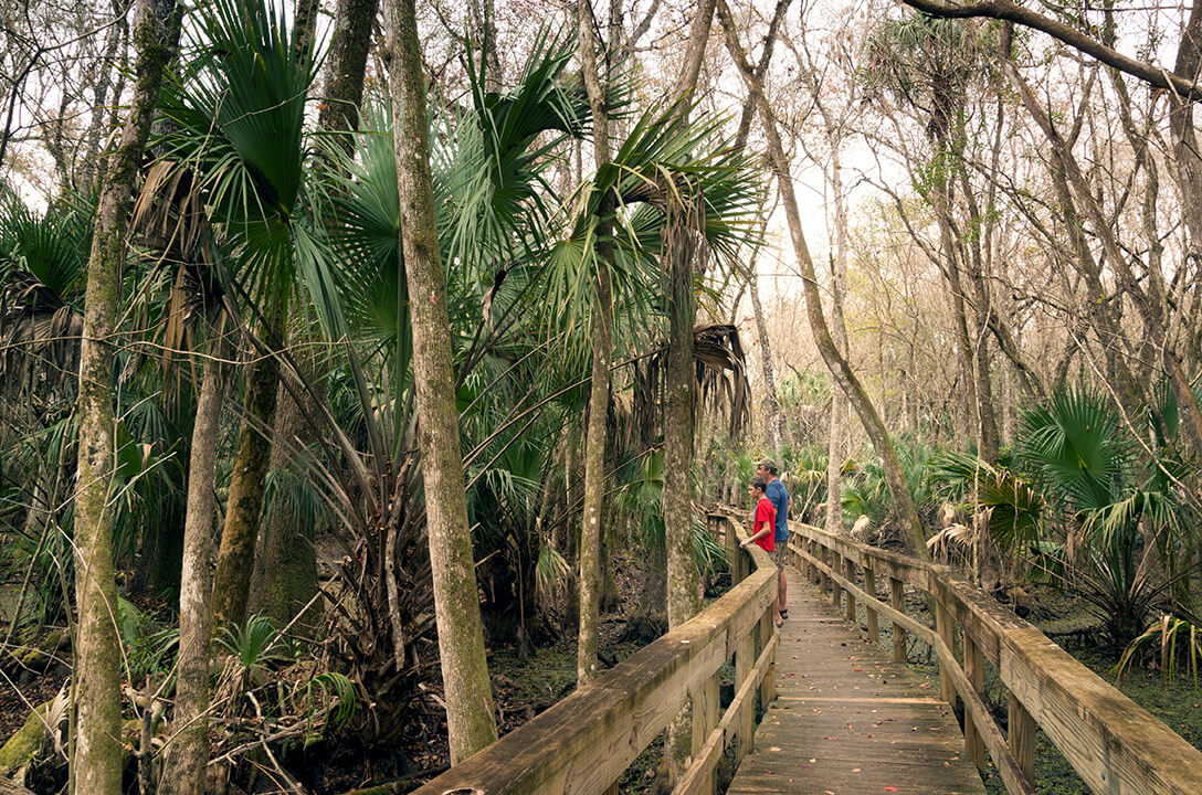 Highland Hammock State Park.