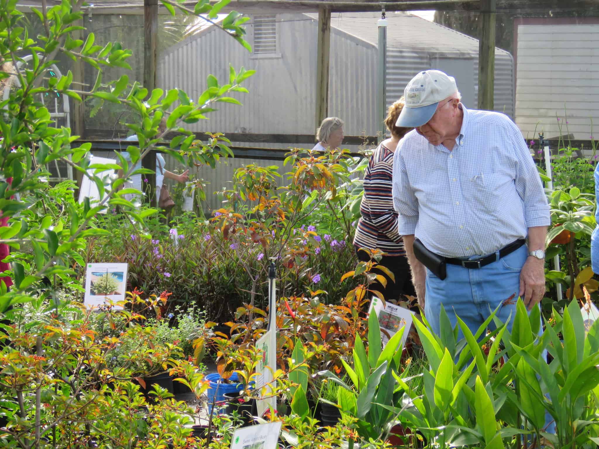 Man looking at plants at garden center