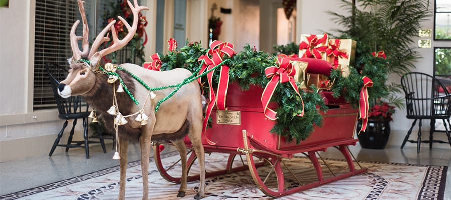 Jacaranda Holiday Sleigh-visit-sebring-fl