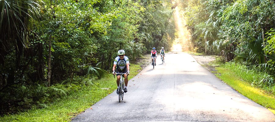 Maxcy cycle hammock-visit-sebring-fl