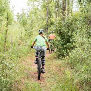 10 Free Things to Do in Sebring, Florida - Sun N Lake Preserve Trail