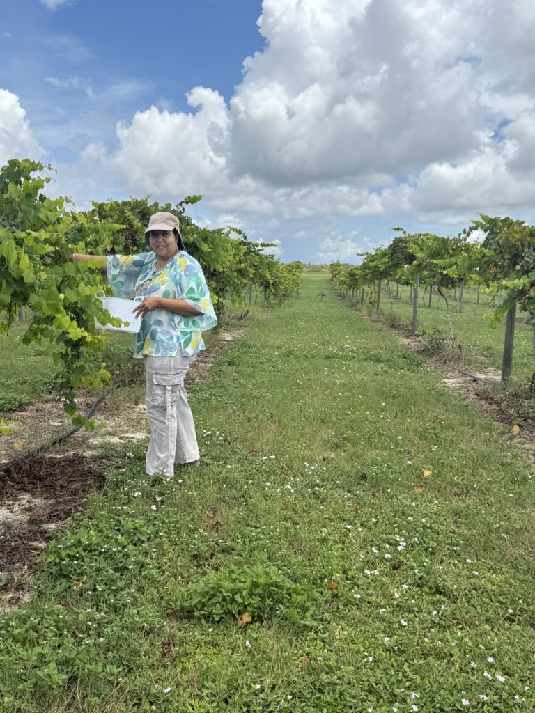 Tropical Winery Garden week 1 1-visit-sebring-fl