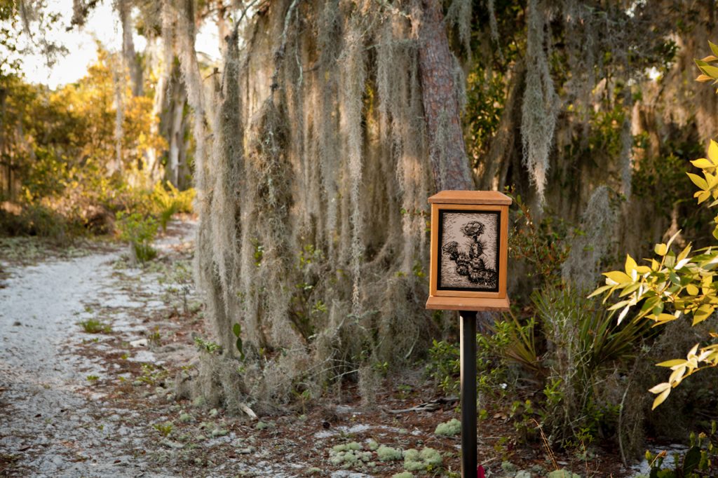 Wildflower Wayside Shrine Trail-visit-sebring-fl Dog friendly wildflower wayside shrine trail
