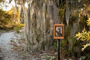 Dog friendly wildflower wayside shrine trail