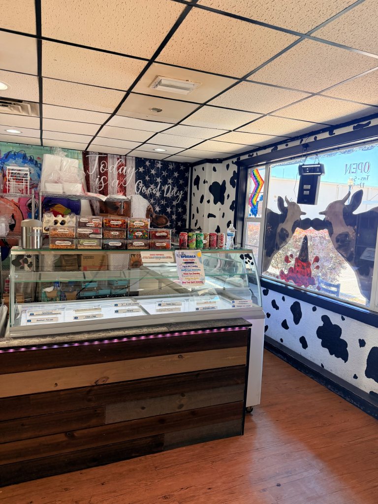 Ice cream display case with a window on the right that looks out into the public street with 2 cows painted on the windows looking in.