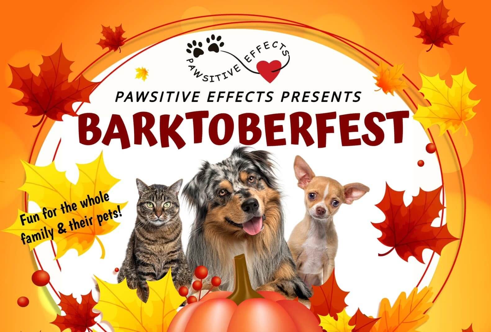 barkk-visit-sebring-fl