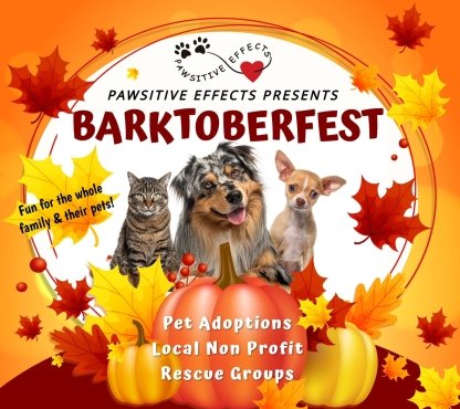 barktoberfest poster e1754919521365-visit-sebring-fl barktoberfest poster e1754919521365-visit-sebring-fl