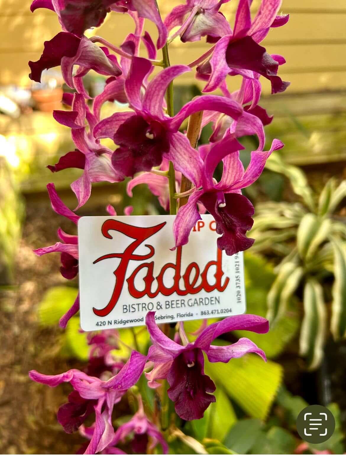 Faded Bistro Butterfly Garden Celebration