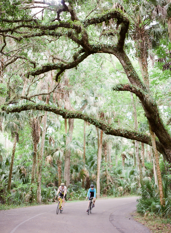 Two people riding bicycles on a paved tree-lined path