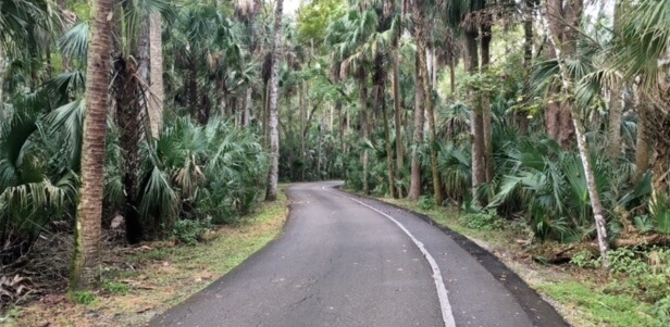 hammock road-visit-sebring-fl