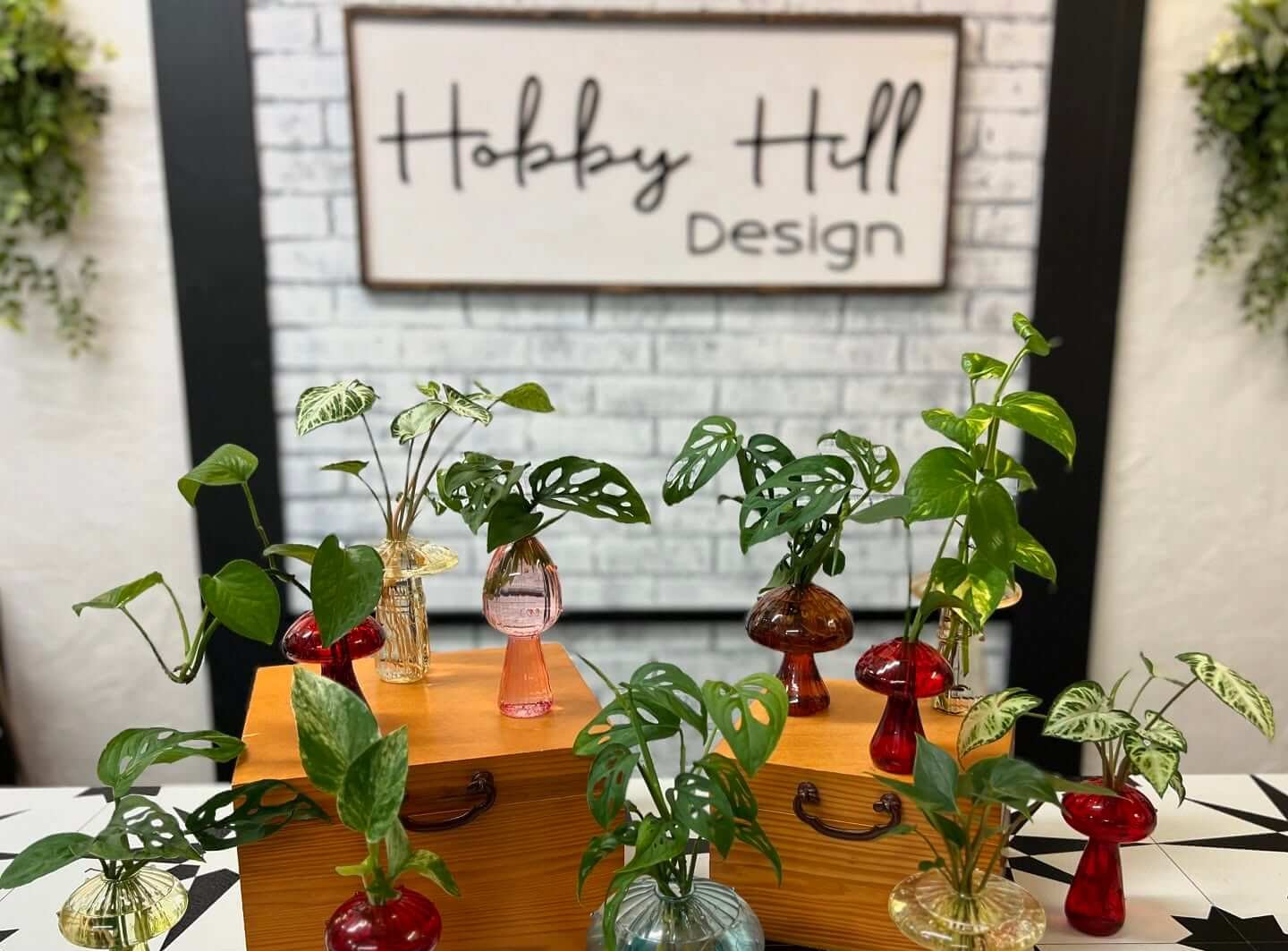 hobby hill hydro plants e1785853848116-visit-sebring-fl Bloom Bar & Hydro Plant Workshop