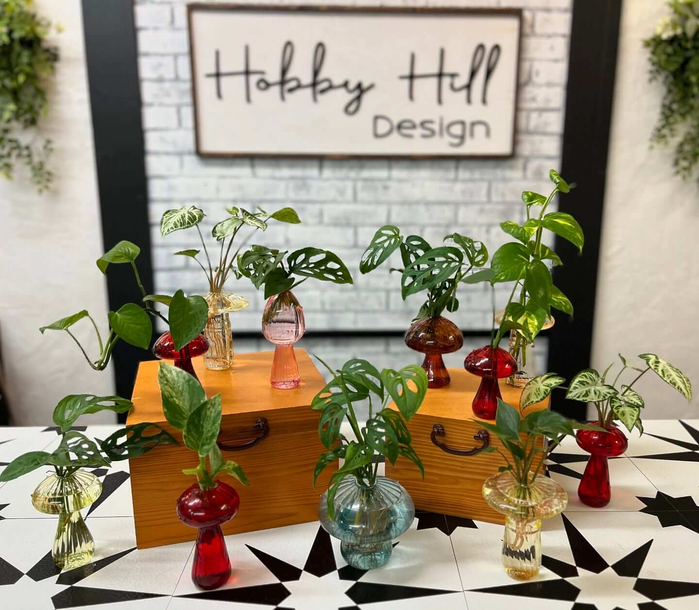 hobby hill hydro plants-visit-sebring-fl