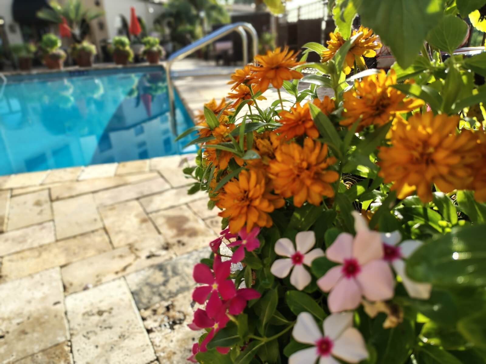 iotl garden week-visit-sebring-fl Garden Walk and Talk at Inn On The Lakes