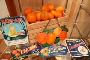 10 Free Things to Do in Sebring, FL - Maxwell Groves
