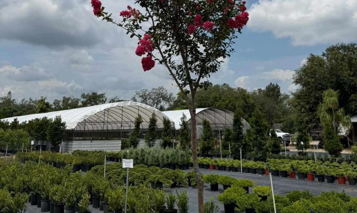 robbins 1 e1786541964495-visit-sebring-fl Grow Your Own: Vegetable Gardening Talk & Nursery Tour