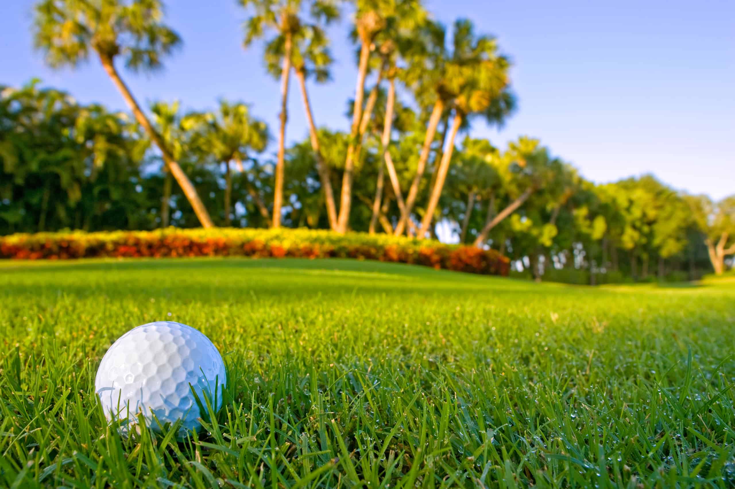 Citrus Golf Trail - Play 10 Great Golf Courses