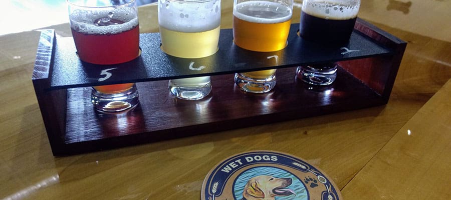 wet dogs beer flight-visit-sebring-fl